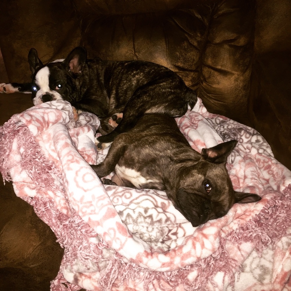 Meet your Posher, Laura